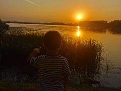 -丁香湖公园
