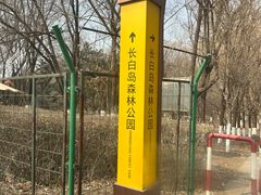 -长白岛森林公园