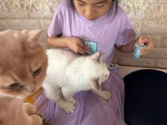 -平行世界·猫咖(首经贸店)