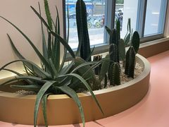 -蜜思琪蛋糕(民生路店)