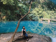 -之江大学-旧址