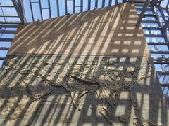 -西安大唐西市博物馆