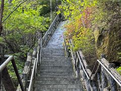 -汤旺河林海奇石景区
