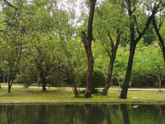 -上海共青森林公园