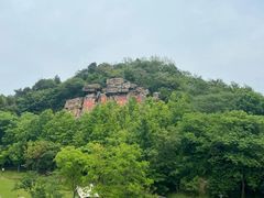 -绍兴镜湖国家城市湿地公园