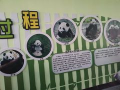 -南宁市动物园