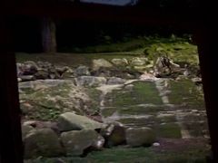 -夜间野生动物园