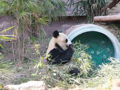 -乐和乐都主题乐园