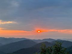 -武陵山森林公园