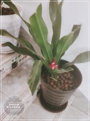 点击看大图 -尚艺造型.剪烫染.接发