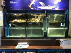 水产区-许家菜(望江店)