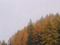 -硗碛藏寨·神木垒景区