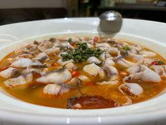 -青花椒花椒鱼(合生汇店)