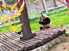 -西安秦岭野生动物园
