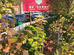 -横道河子东北虎林园