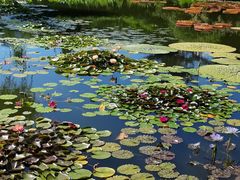 -国家植物园南园