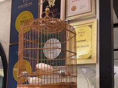 -淮扬府·游园京梦(北京SKP店)