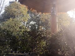 -深业半汤御泉庄温泉