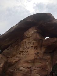 -翱翔飞越地平线