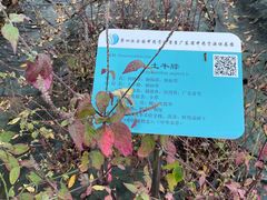 -广东中医药博物馆