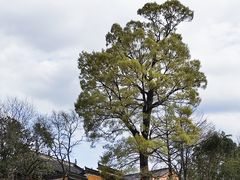 -绩溪龙川景区