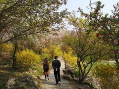 -石家庄市植物园