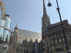 -斯蒂芬主教座堂(Stephansdom)