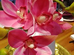 -半山•草庐玖厨(机场路店)