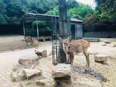 -无锡动物园·太湖欢乐园