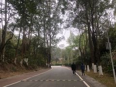 -火炉山森林公园