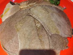 -二荆条·蜀鲜汇城市森林火锅