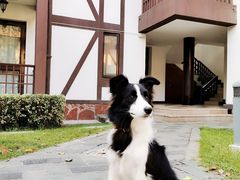 -太阳岛度假酒店