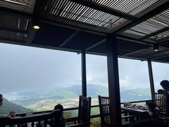 -三亚亚龙湾人间天堂鸟巢度假村