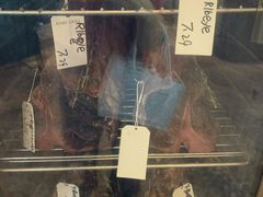 -哈布斯扒房(华发商都店)