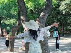 -西苑公园