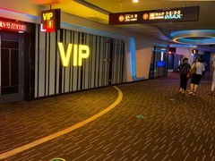 -万达影城(济宁万达广场IMAX店)