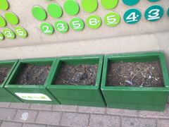 -北京林业大学幼儿园