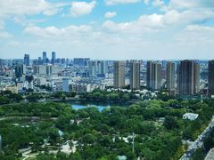 -君悦酒店·乐厨·高空自助餐(青年大街店)