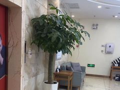 -优诺口腔·VIP尊享中心(爱建机构)