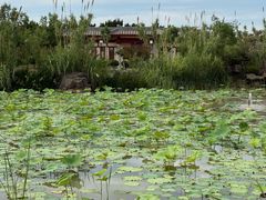 -洛阳古墓博物馆