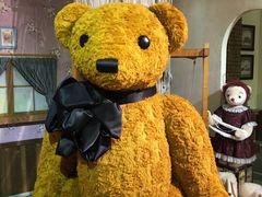 泰迪熊-济州岛泰迪熊博物馆