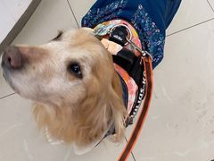 -爱侣宠医·鹦鹉专科·小型哺乳类·异宠专科(灵石路店)