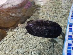 -顺德南宏海立方海洋公园