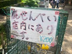 -奈良公园