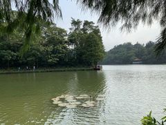 -深圳仙湖植物园
