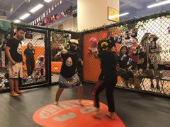 -体育科代表搏击散打体能训练馆(陶然亭店)