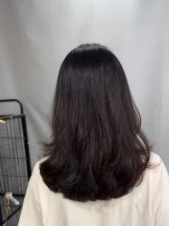 -镁连社·美联社
