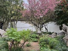 -西园戒幢律寺