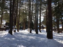 -北海道神宫