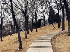 -南翠屏公园